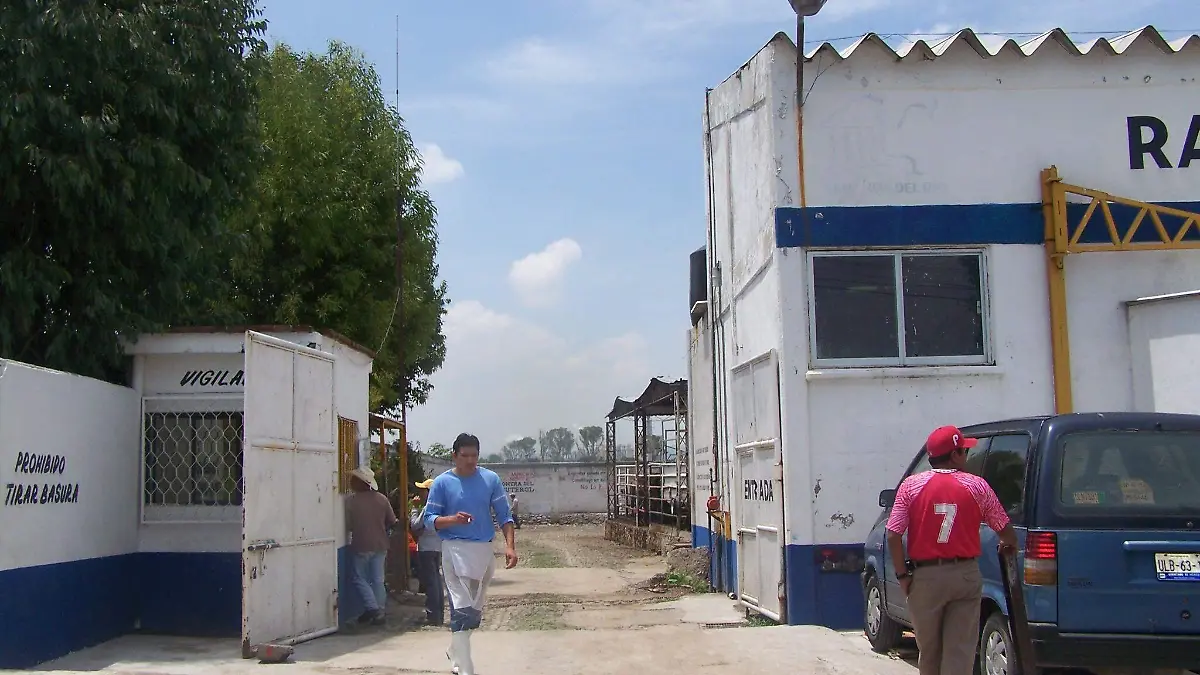 El costo de servicio en la matanza de ganado porcino aumento en los _ltimos d_as en el rastro